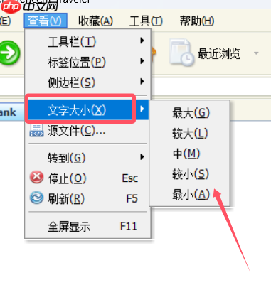 tt浏览器怎么变大字?tt浏览器变大字的步骤