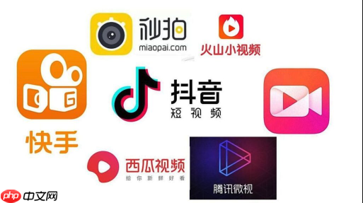 全民小视频宠物类内容怎样吸粉_全民小视频宠物内容拍摄与粉丝运营策略