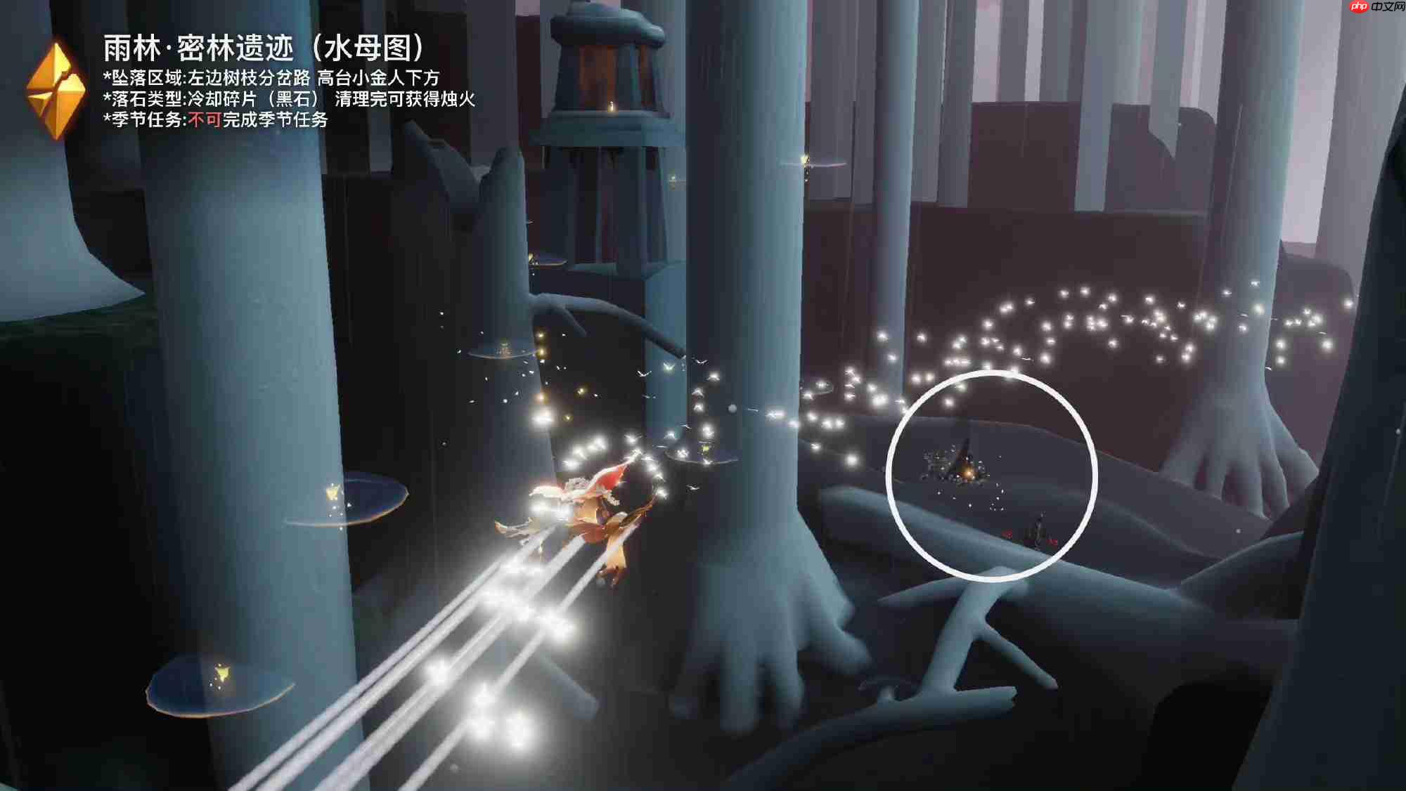 光遇10.29黑石在哪里-光遇10月29日黑石位置攻略