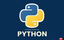 Python官网如何获取Python技术支持_Python官网帮助资源汇总指南