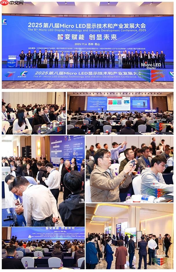 2025第八届MicroLED显示技术和产业发展大会圆满闭幕