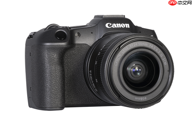 旅拍、亲子、野生动物：佳能R8便携性全画幅相机一机搞定