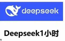 DeepSeek AI人工智能入口官网 DeepSeek AI在线版搜索入口