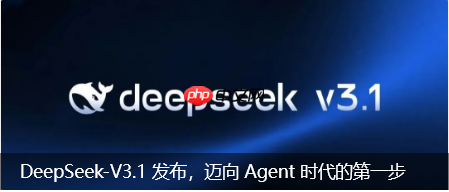 DeepSeek-V3.1模型在下一盘很大的棋