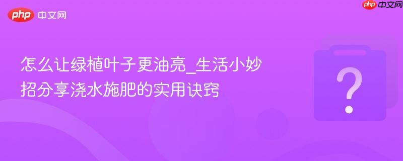怎么让绿植叶子更油亮_生活小妙招分享浇水施肥的实用诀窍