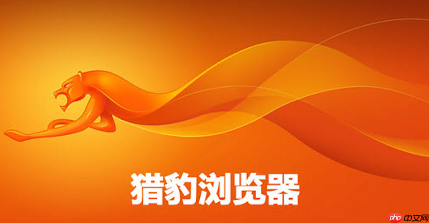 猎豹浏览器官方网址入口在哪 猎豹浏览器平台直达首页官方链接