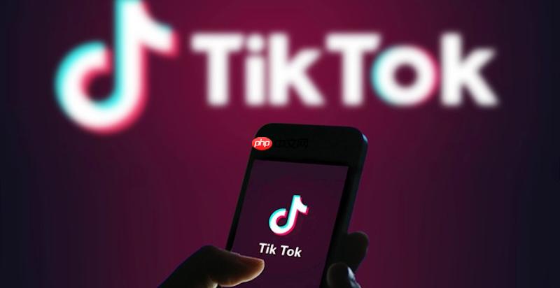 tiktok国际版电脑版入口_国际抖音tiktok网页端观看