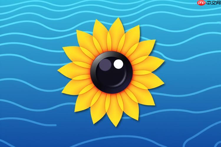 向日葵客户端怎么设置连接日志_向日葵客户端连接日志功能设置详细步骤