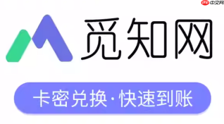 觅知网英文版官方搜索入口 觅知网学术资源使用方法教程
