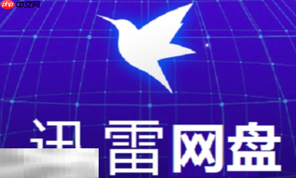 迅雷网盘vip兑换码有哪些 2025最新可用福利码大全