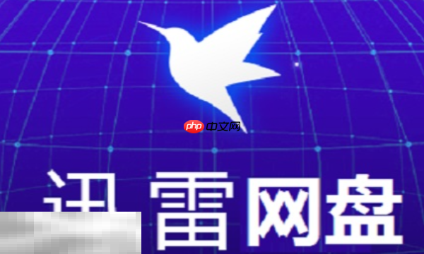 迅雷云盘vip免费领取码有哪些 2025最新可用激活码