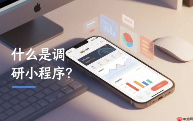 什么是调研小程序?给非技术背景老板的科普