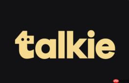 Talkie官方网站链接直达 Talkie智能交流平台主页访问入口