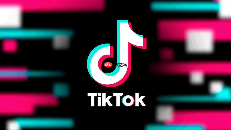 tiktok国际版网页入口_国际抖音tiktok在线免安装