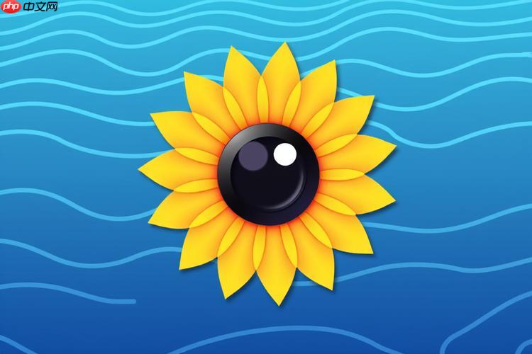 向日葵客户端怎么设置访问统计_向日葵客户端访问统计功能设置详细步骤