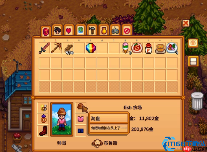 星露谷物语淘盘完全攻略：从菜鸟到寻宝大师