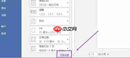 word2013怎么打印文档-word2013打印文档的方法
