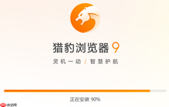 猎豹安全浏览器入口 猎豹安全浏览器浏览器官网进入