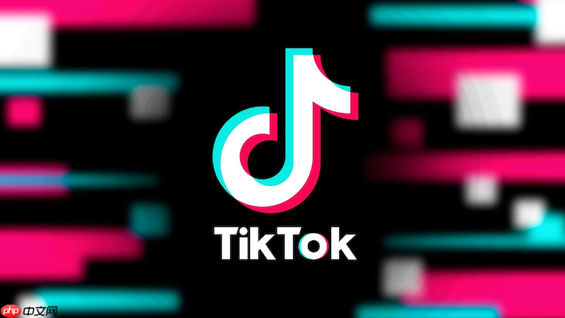 tiktok国际版网页链接 抖音海外官网访问地址