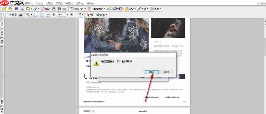 AdobeAcrobat怎么删除页面-AdobeAcrobat删除页面的方法