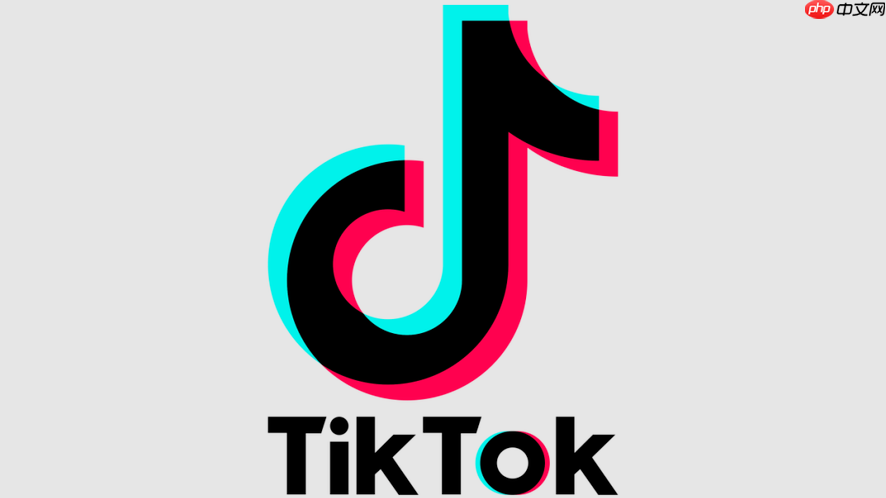 tiktok全球版在线入口_tiktok全球版在线入口进入在线观看