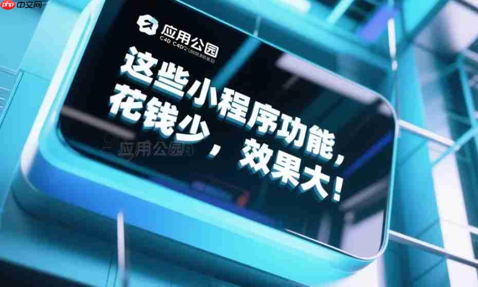 这些小程序功能,花钱少,效果大!