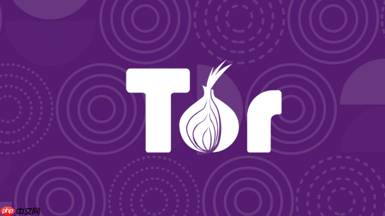 洋葱浏览器出现安全警告怎么办_解读洋葱浏览器各类安全提示与应对措施