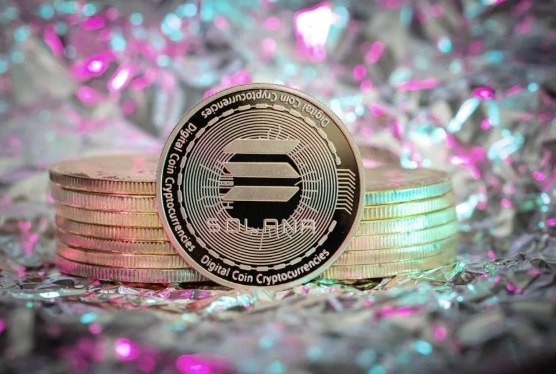 哪些指标评估SOL币价值?长期持有需注意什么? - php中文网