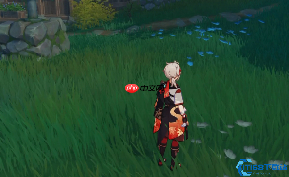 原神孤岛诊疗谭任务全攻略:轻松获取隐藏宝箱与成就奖励