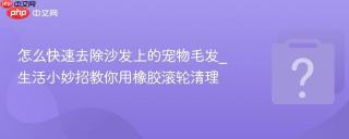 怎么快速去除沙发上的宠物毛发_生活小妙招教你用橡胶滚轮清理