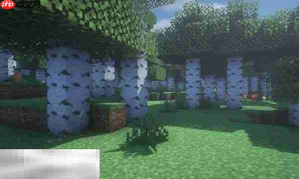 如何在mc里看到隐藏矿石:mc透视方法汇总