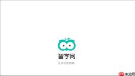 智学网期中考试成绩查询_智学网学生端平台入口