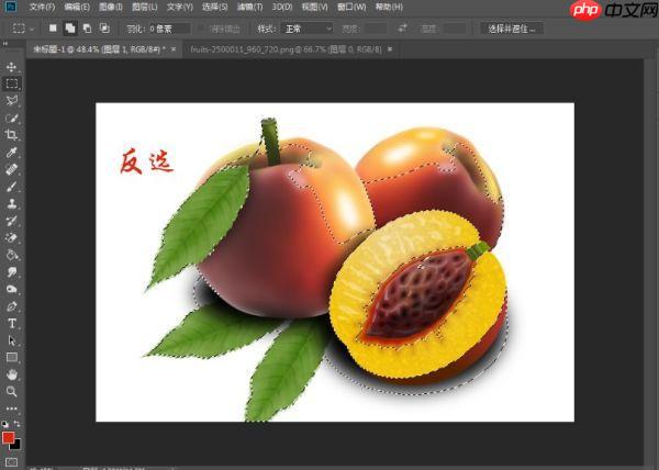 coreldraw图层蒙版怎么用_coreldraw图层蒙版功能详解