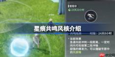 星痕共鸣风核该怎么使用-星痕共鸣风核介绍