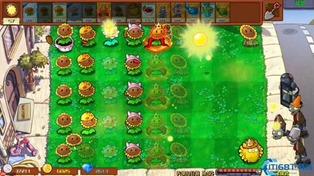 植物大战僵尸防守关卡终极攻略：阳光风暴与坚果堡垒的完美结合