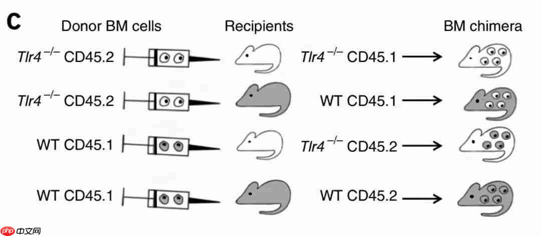 肠子决定脑子,魔性or科学?