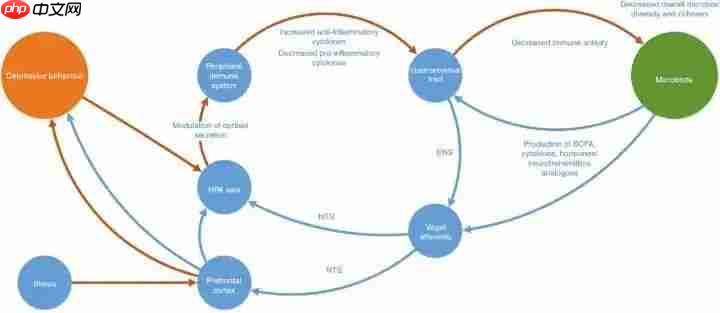 肠子决定脑子,魔性or科学?
