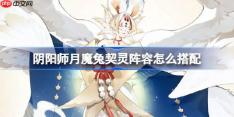 阴阳师月魔兔阵容怎么搭配-阴阳师月魔兔契灵阵容搭配攻略11月