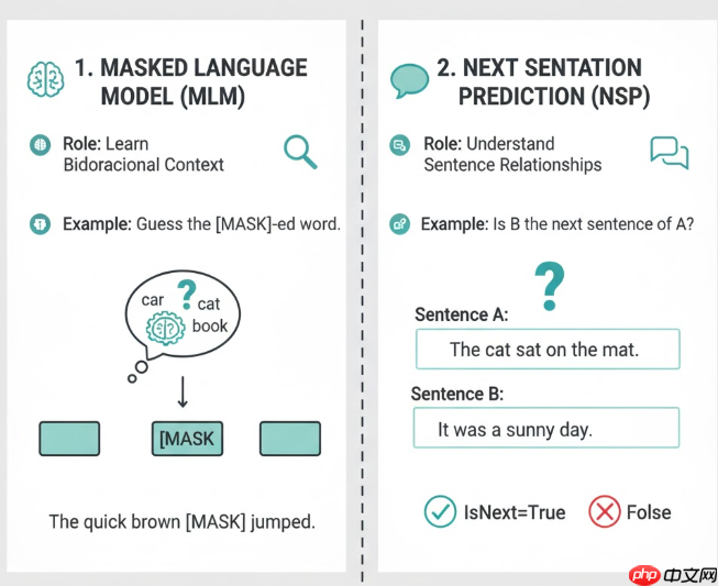【多模态大模型面经】 BERT 专题面经