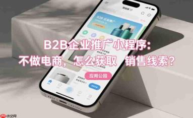 B2B企业推广小程序:不做电商,怎么获取销售线索?