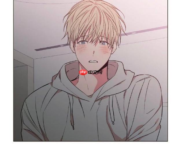 51动漫高速稳定访问通道-51动漫正版漫画全站资源地址