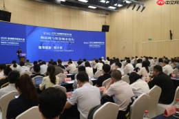 思必驰AI吸顶麦喜获2025全球数字经济大会