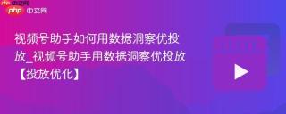 视频号助手如何用数据洞察优投放_视频号助手用数据洞察优投放【投放优化】