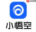 悟空搜索在线观看_悟空搜索网页版地址