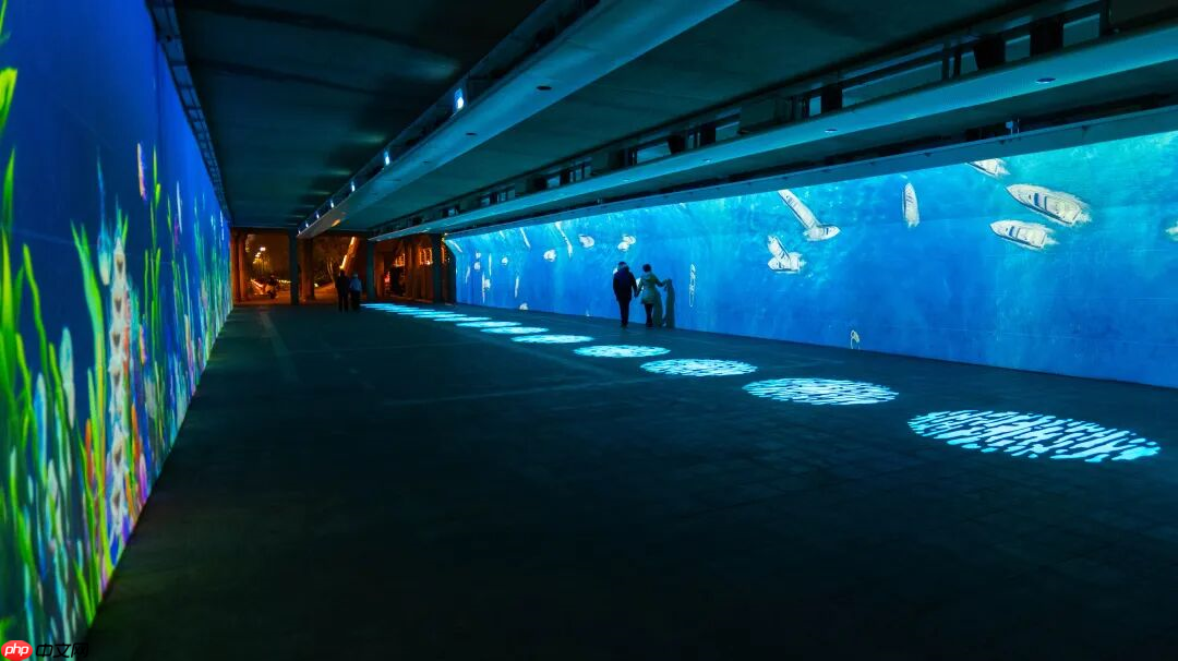 金色海河，流光岁月，爱普生以科技为笔，绘就天津文旅新篇章