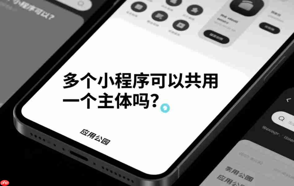 多个小程序可以共用一个主体吗?