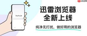 迅雷浏览器官方网站入口_迅雷浏览器平台下载地址直达首页