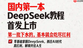 DeepSeek中文版网页入口_deepseek在线版快捷进入方式