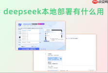 deepseek本地部署有什么用？解锁 DeepSeek 本地部署