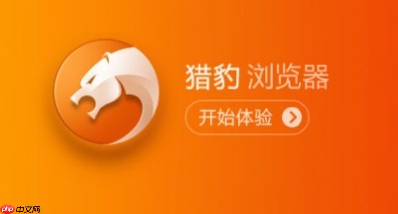 2025年猎豹安全浏览器搜索引擎入口 猎豹安全浏览器最新可用官方网站地址
